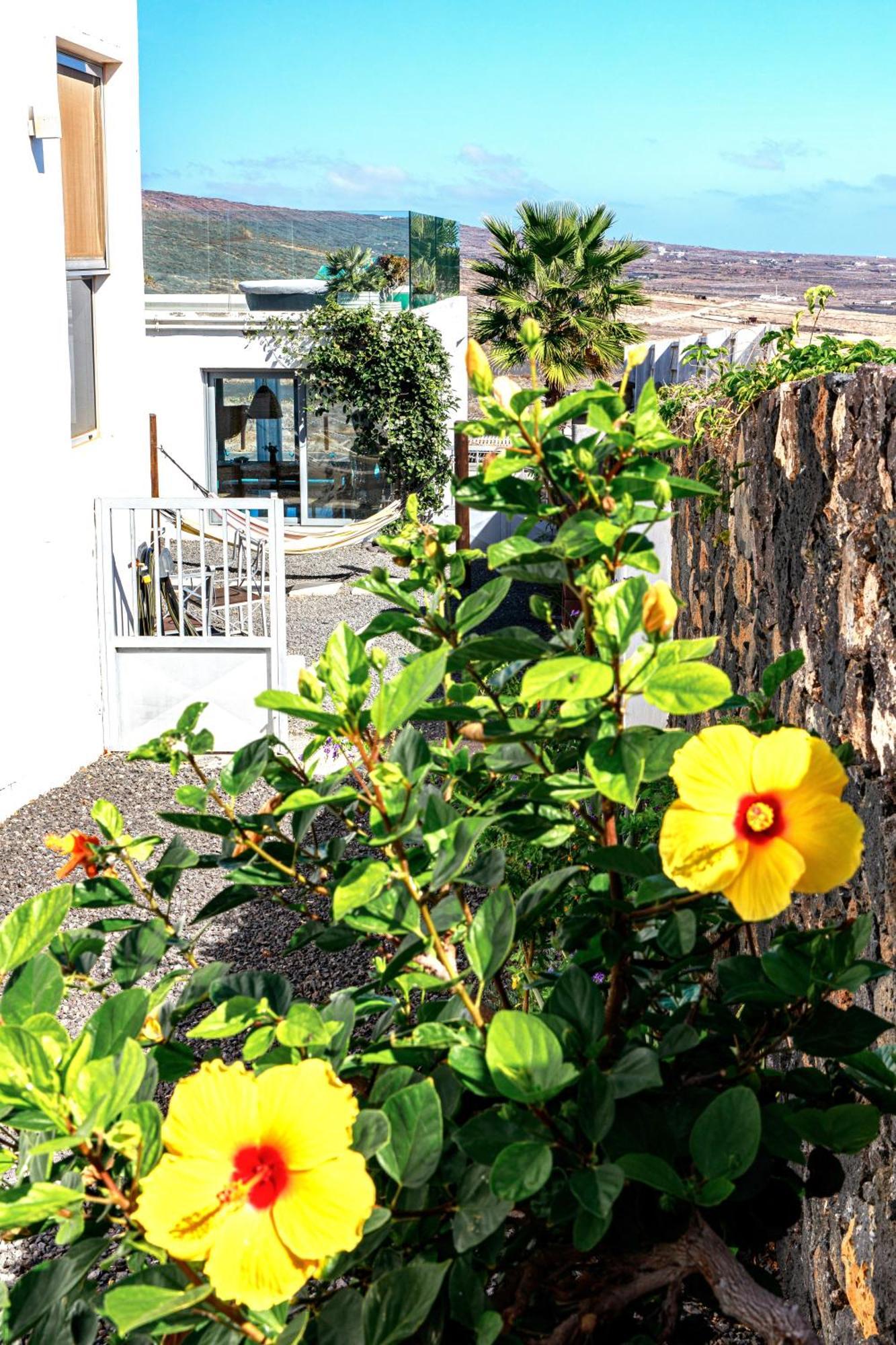 Luxus Villa Mit 5 Schlafzimmern, Heated Pool, Ps4, Fitnessraum Tabayesco 외부 사진